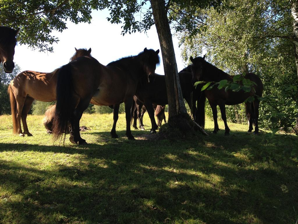 Karaby Gard, Country Living Kristinehamn
